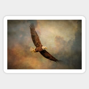 Bald Eagle In Boisterous Skies Sticker